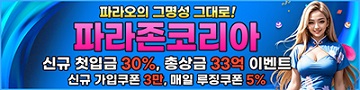카지노사이트-파라존코리아-배너-슬롯머신사이트